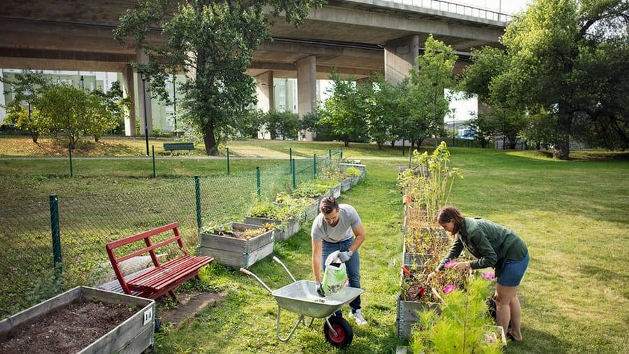 img_urban-garden-sweden